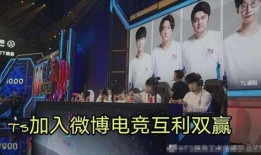 队长席位爆料视频,揭秘战队内部风云与战术布局